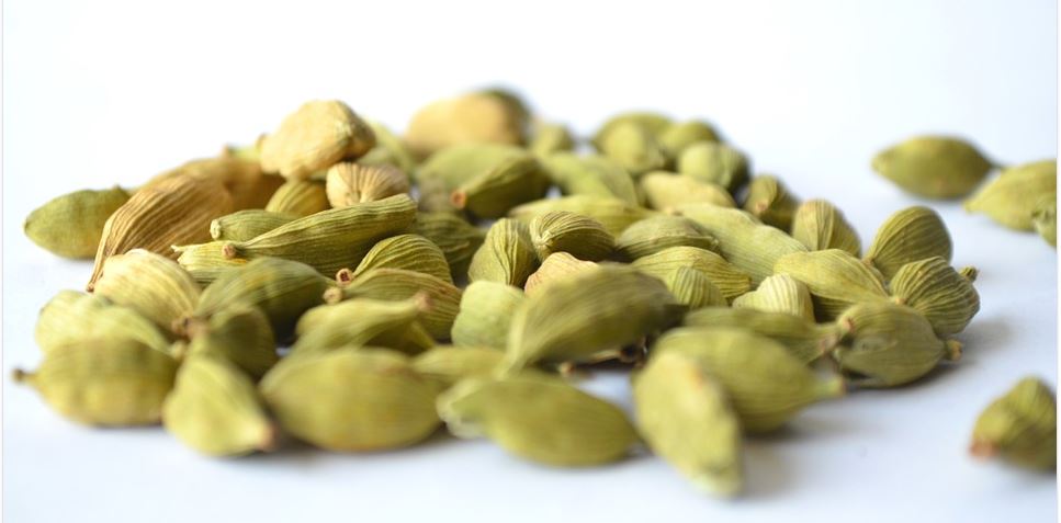 Cardamome