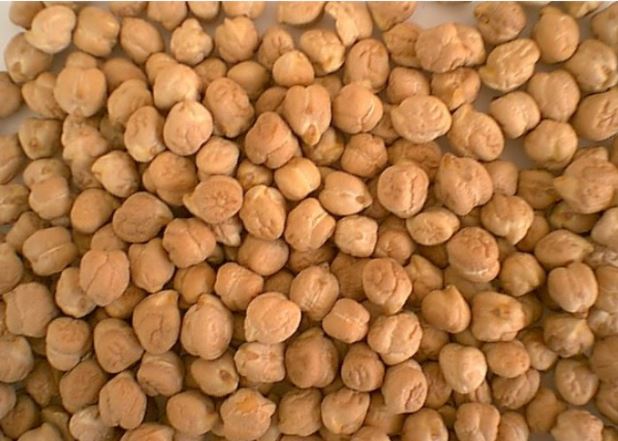 Kabuli Channe